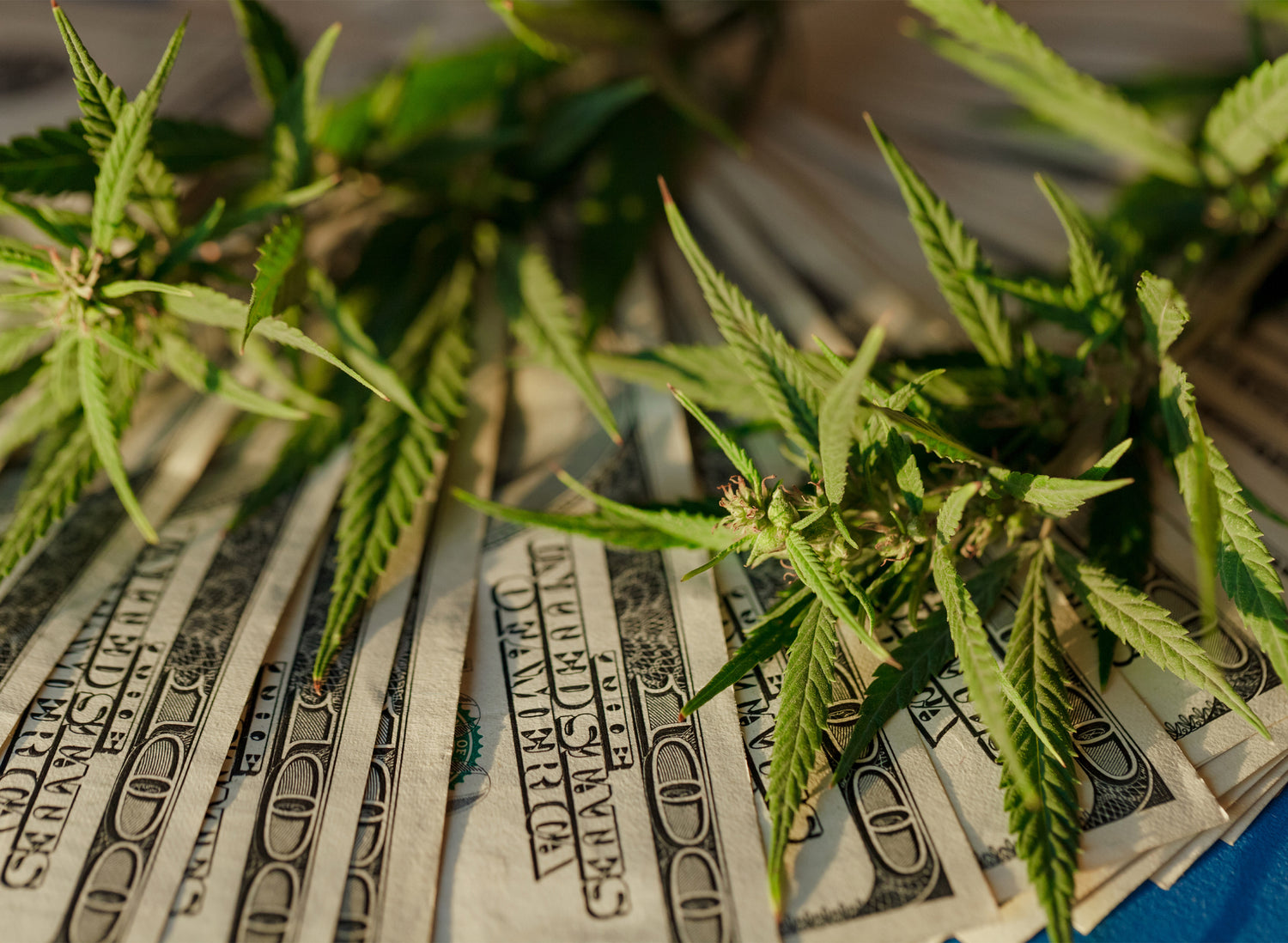 New Jersey Recreational Marijuana Sales Reach Nearly $80M In Second Fiscal Quarter