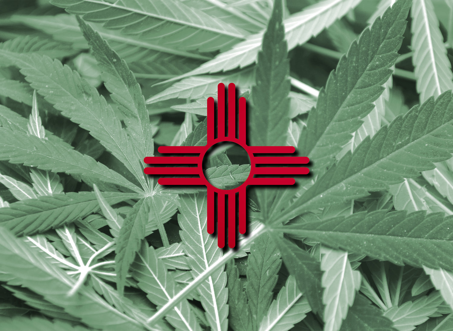 Sales of Cannabis in New Mexico Continues to Impress