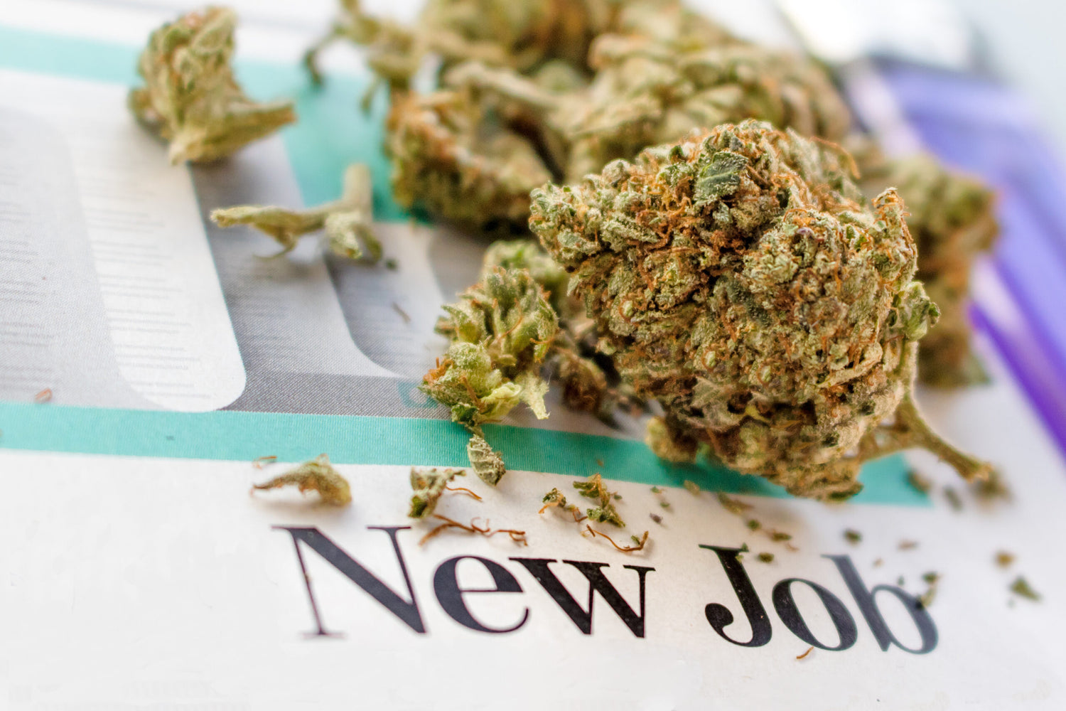 Entrepreneur Launches Job Search Engine For Careers That Allow (Off The Clock) Cannabis Consumption