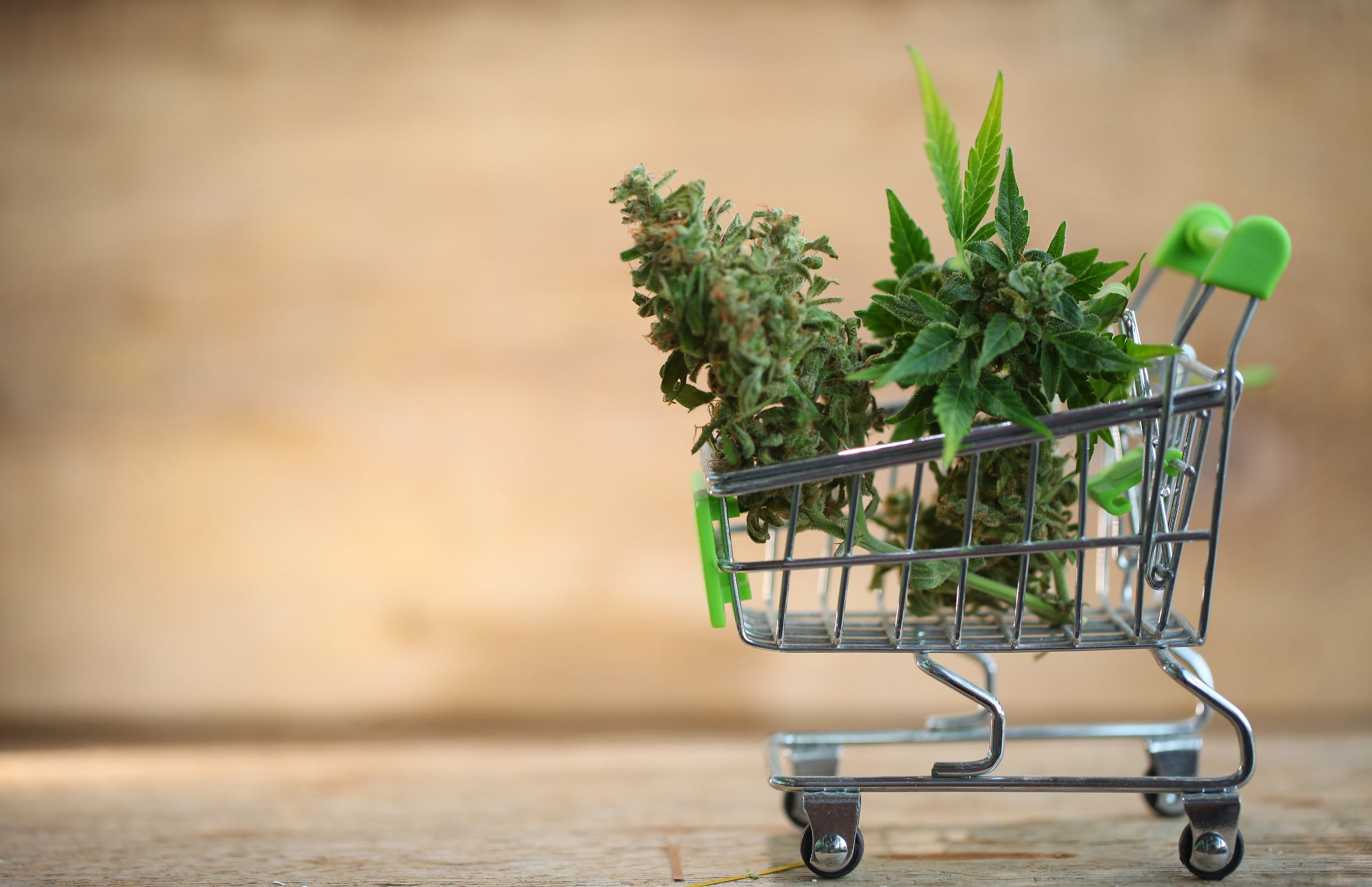 In Depth: Cannabis Packaging &#038; Customer Psychology