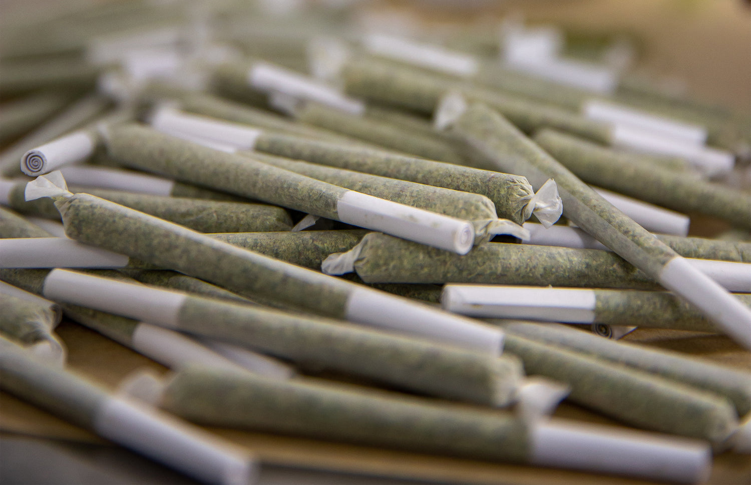 Pre-Roll Production: How To Make Your Own Pre-Rolled Cones