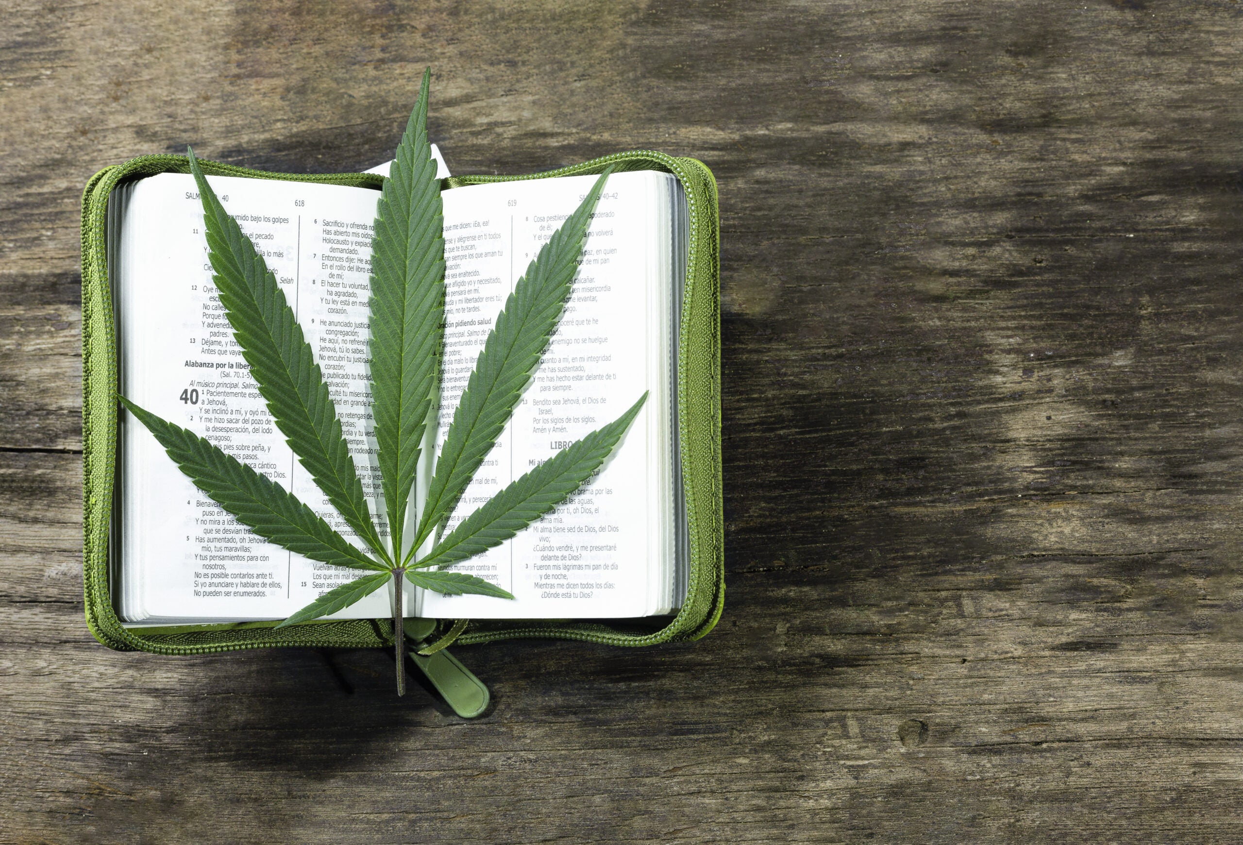 Former Adult Pastor Announces Venture Into The Marijuana Industry With 'Christian Cannabis'
