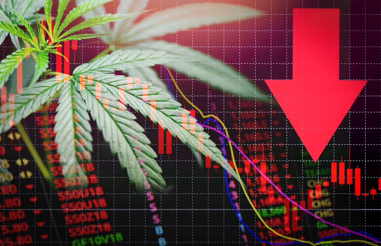 How Recession Can Affect the Cannabis Industry