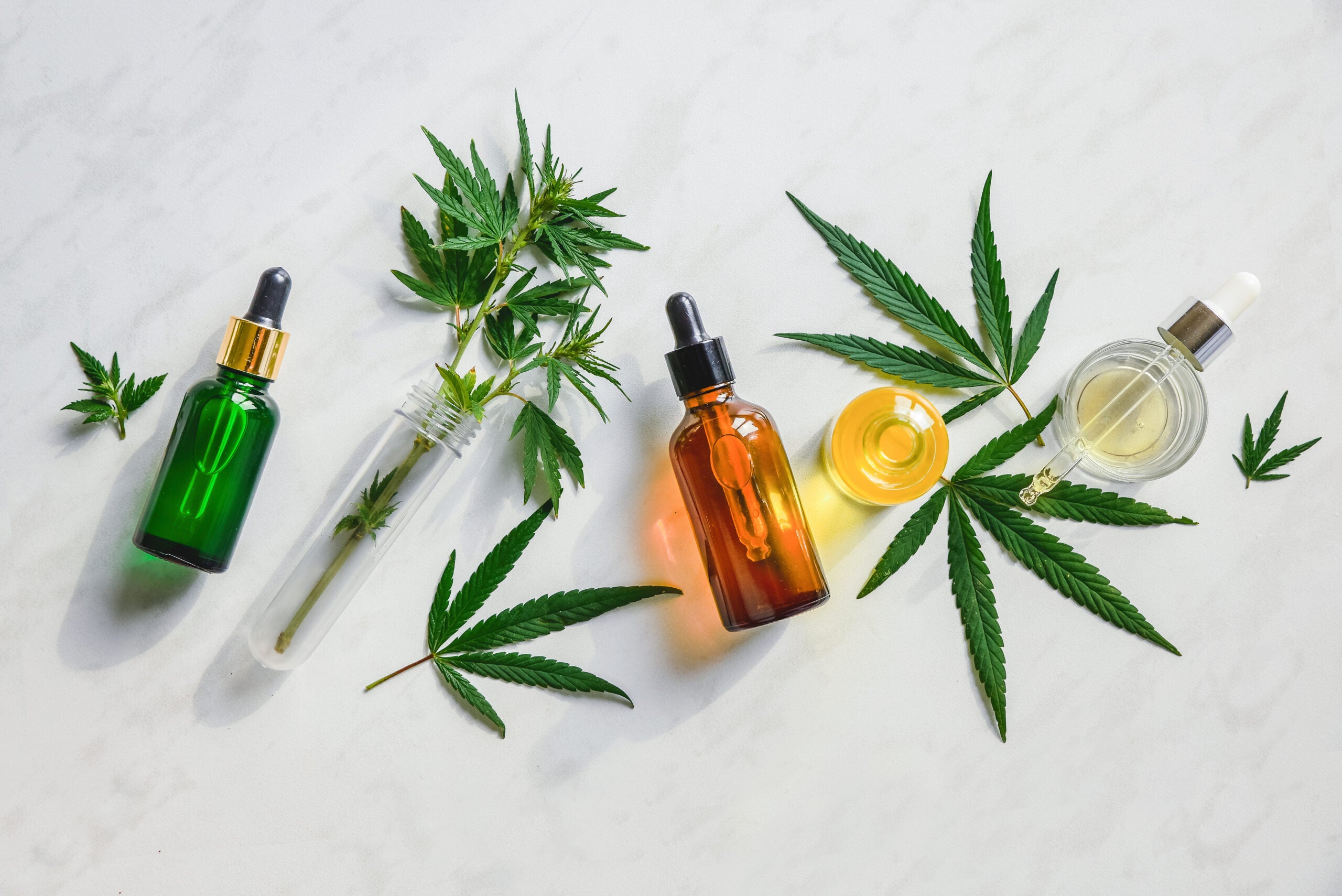 Research Shows Cannabis Terpenes Are A Promising New Target For Pain Therapies