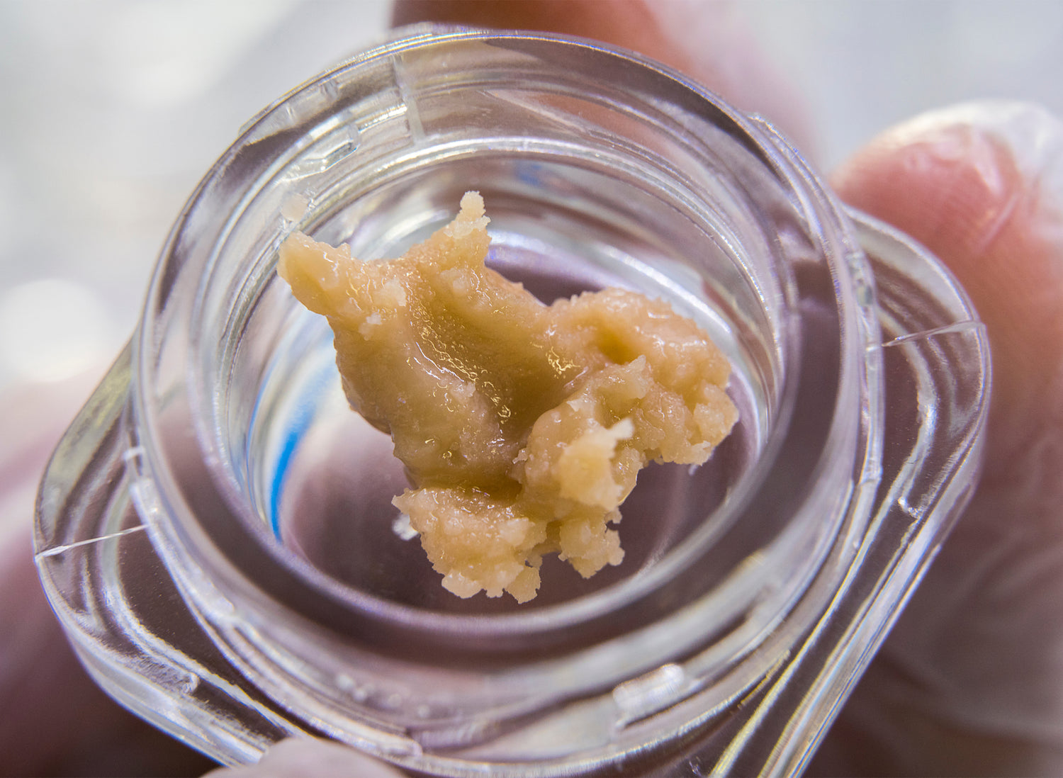 Rosin and Live Resin: Differences &amp; Similarities