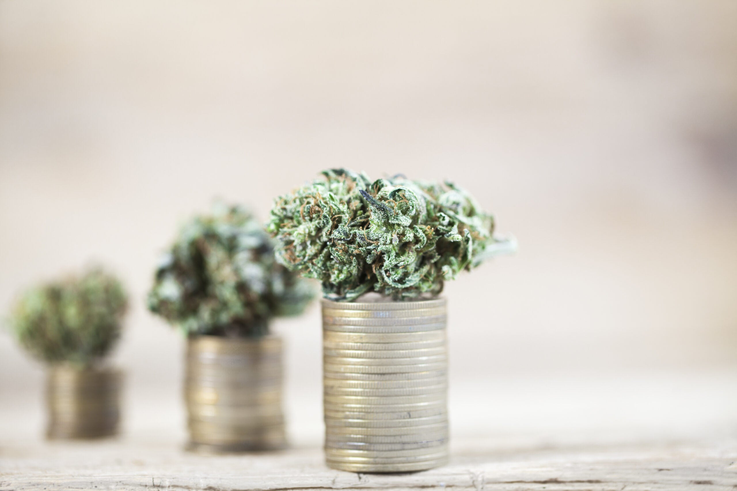 Two Cannabis Stocks To Add To Your February Watchlist