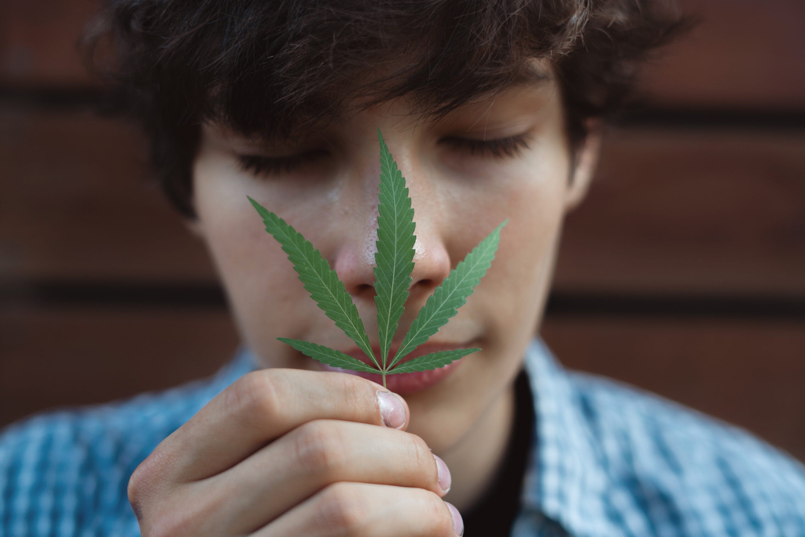 Studies Show Legalizing Cannabis Leads To Lower Youth Consumption
