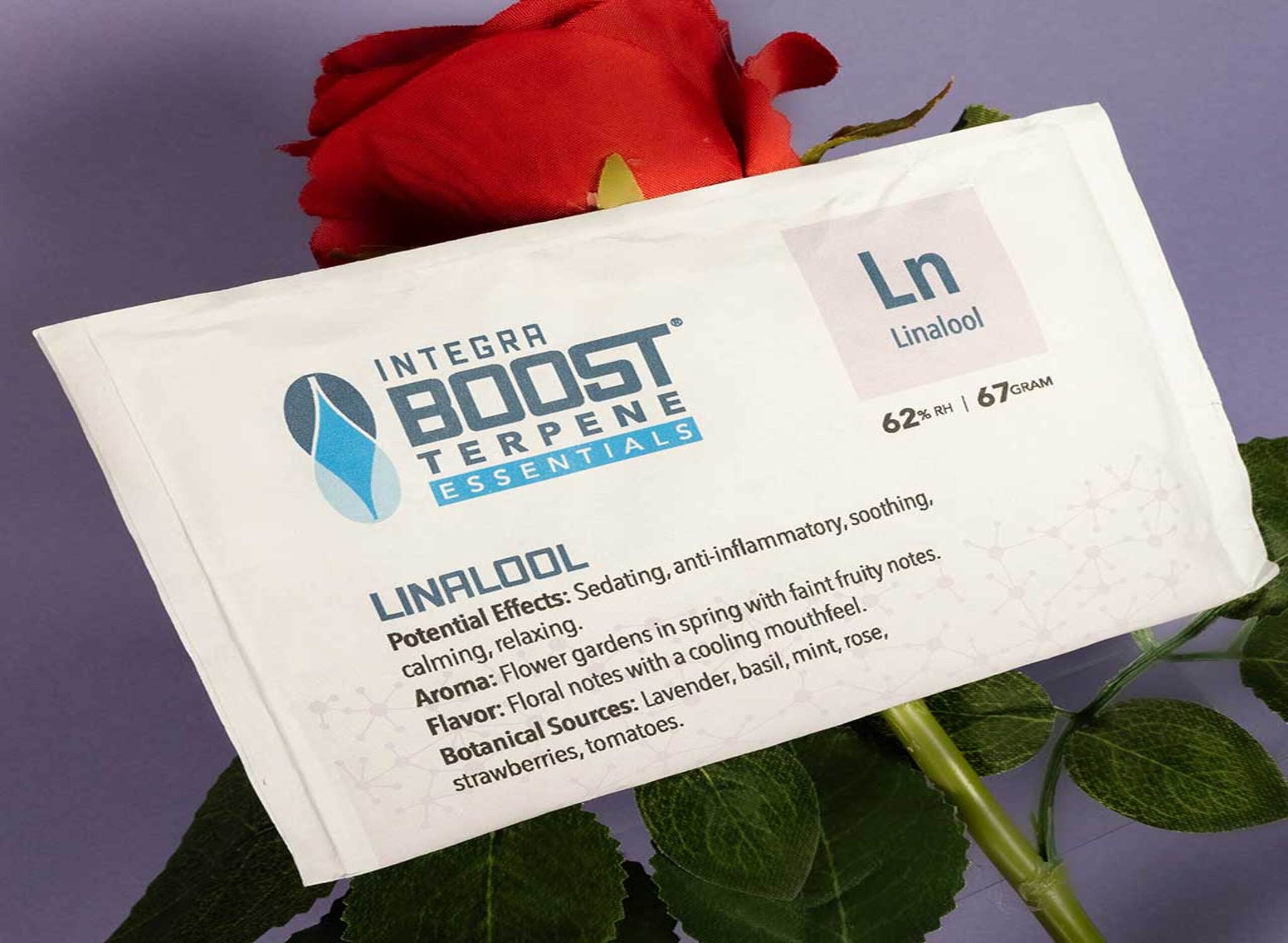 Various bottles and jars with black caps, surrounded by green leaves and seeds, set against a gradient green background