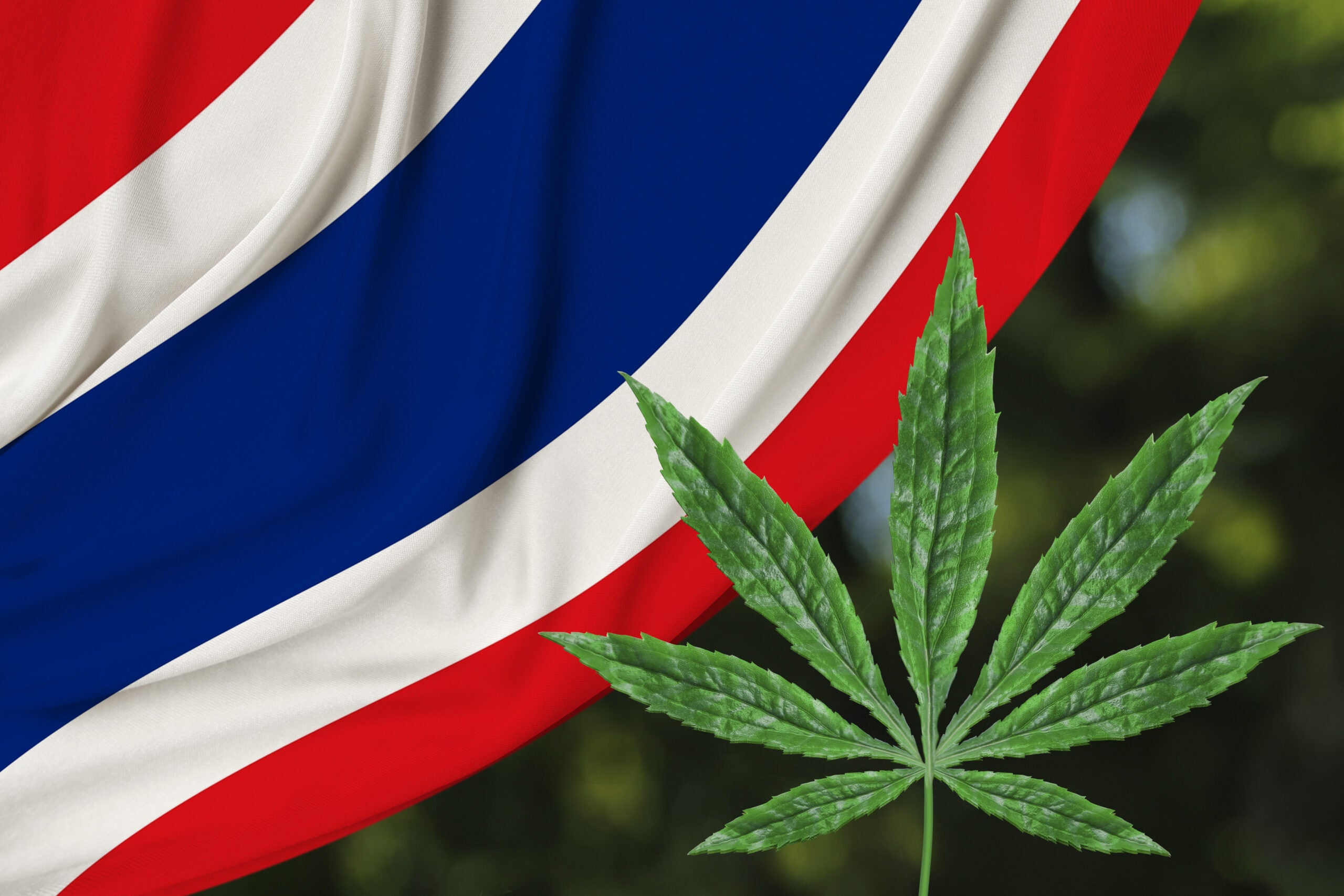 Thailand To Legalize Recreational Cannabis