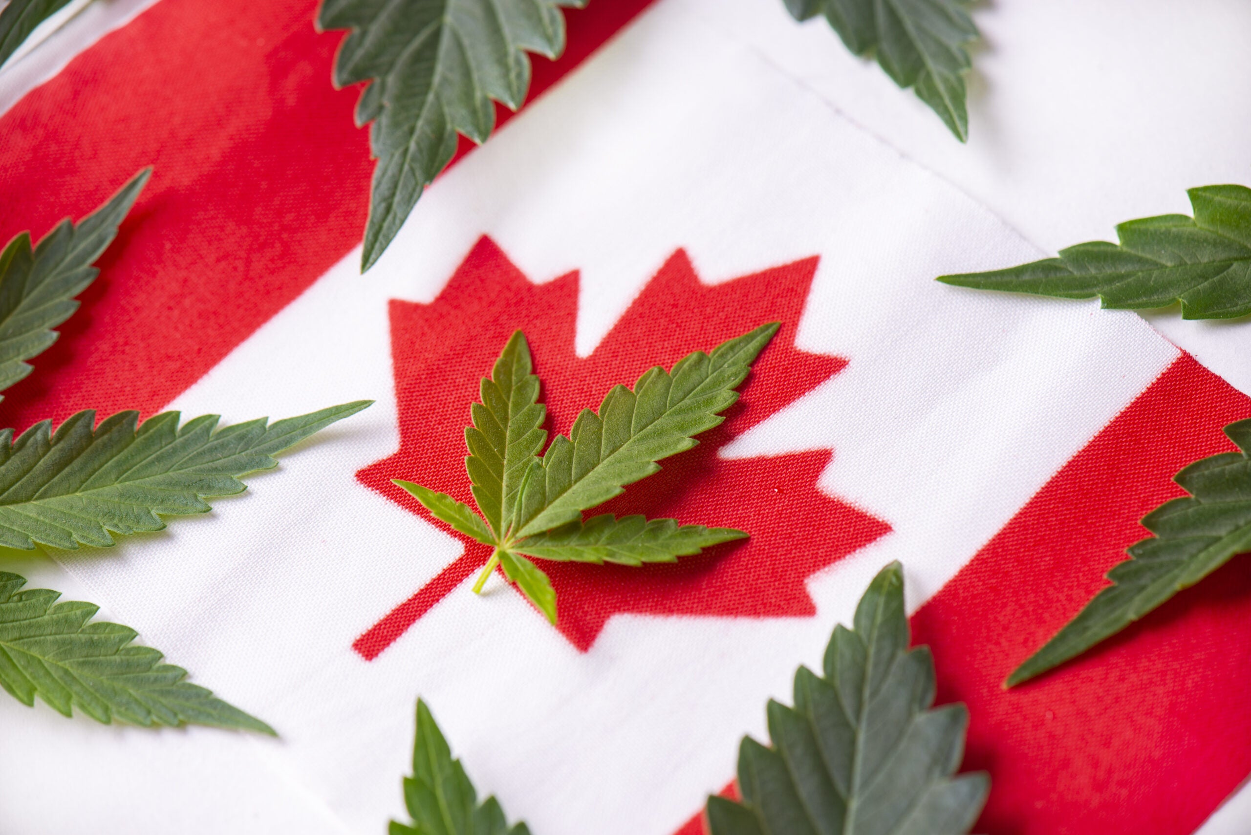 The State Of Canada&#8217;s Cannabis Market Three Years Post-Legalization