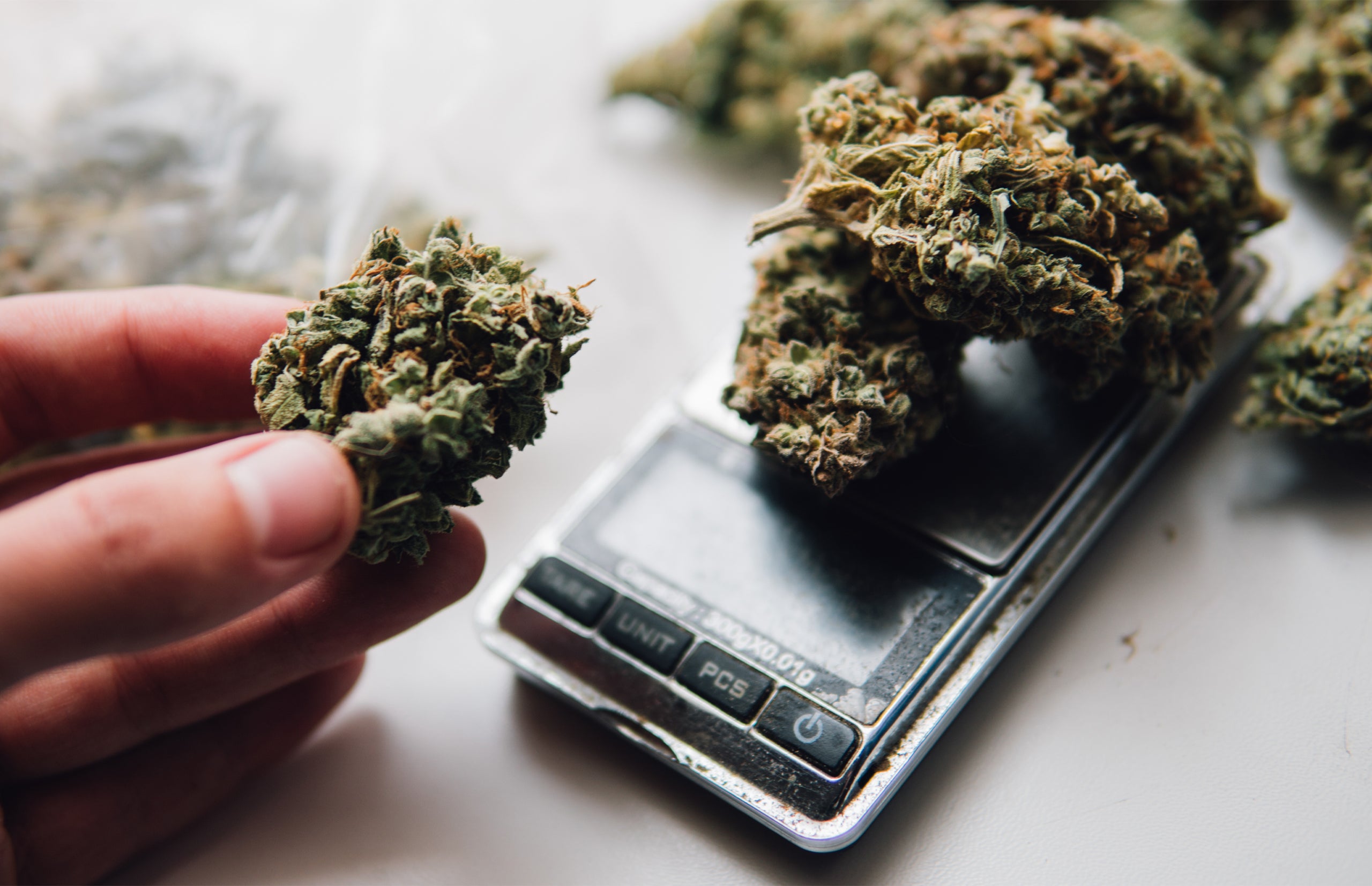 The Definitive Guide to Weed Sizes and Weights