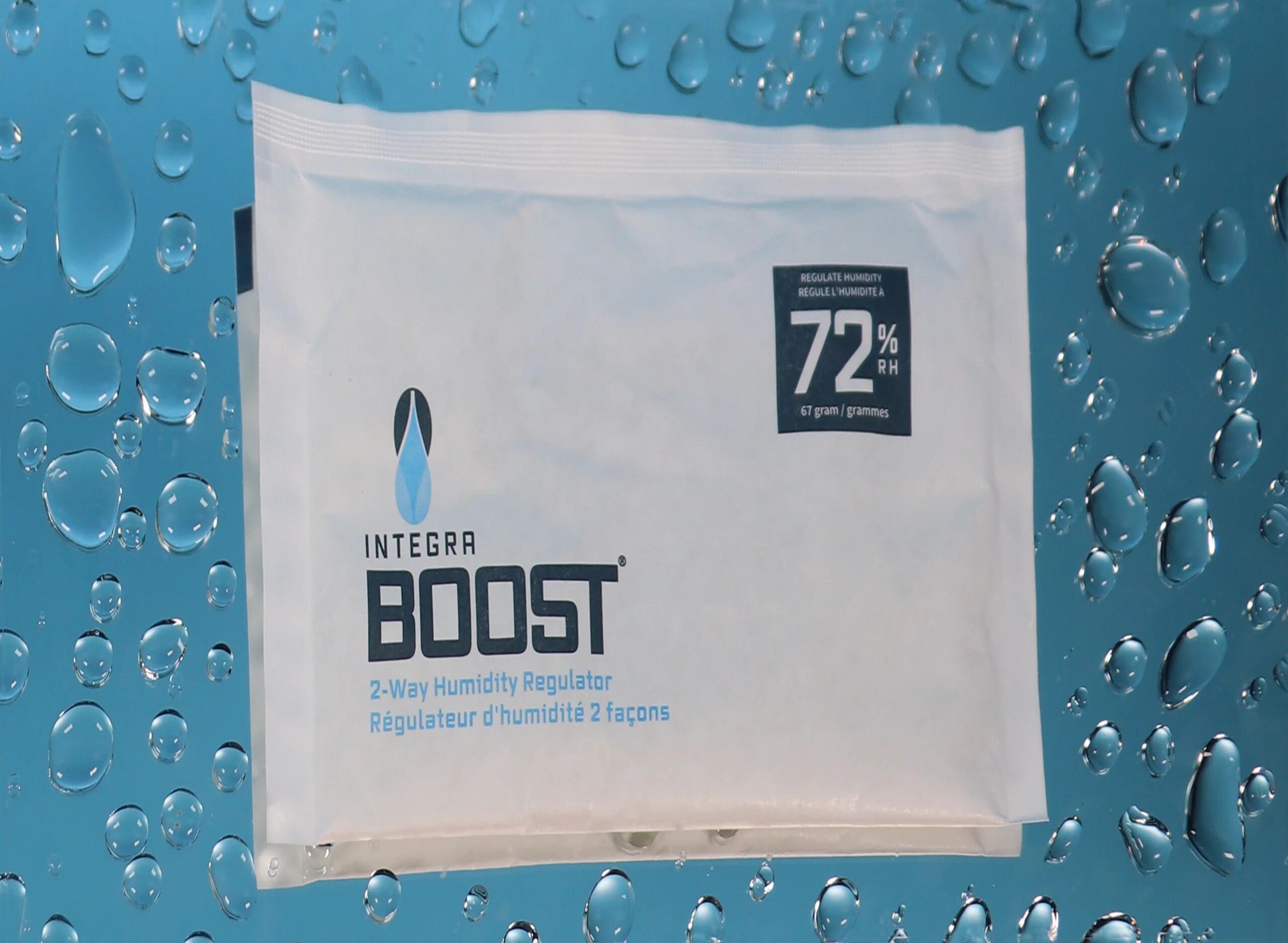 Three jars filled with lemon slices, surrounded by green leaves and two plums on a light blue surface