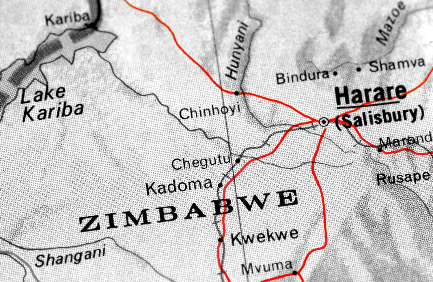 Zimbabwe Banking On Predicted Economic Growth From New Cannabis Licenses