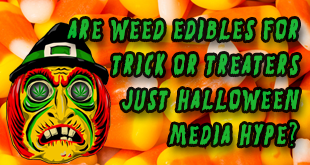 Are Marijuana Edibles a Trick-or-Treat Terror or Just Halloween Hype?