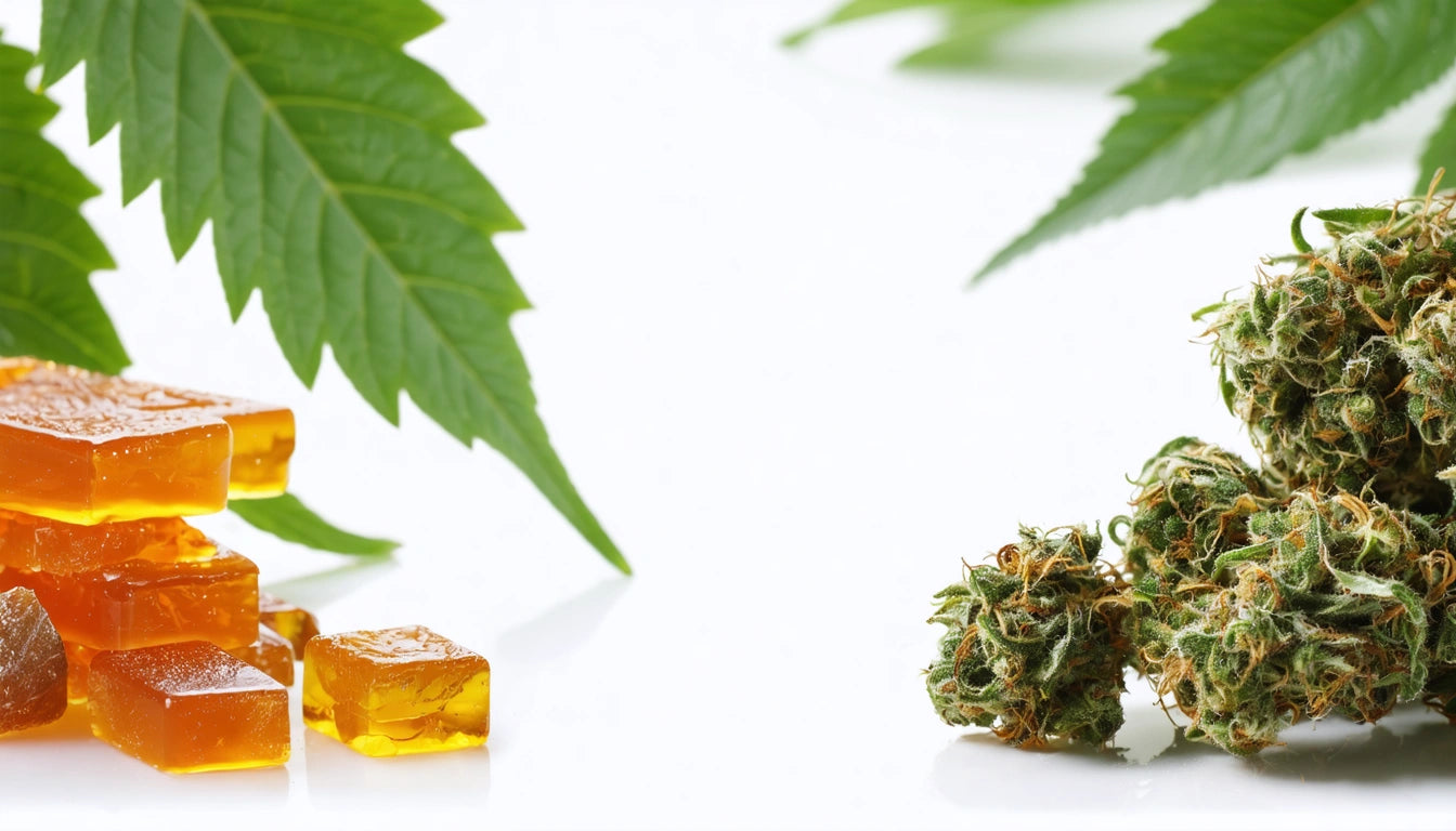 Green leaves and amber-colored cubes on left; dried green buds on right against a white background