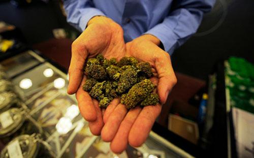 Boston Approves First Medical Marijuana Dispensaries