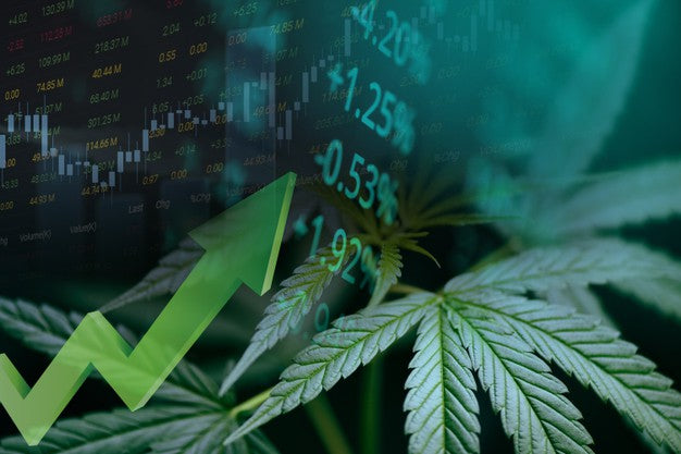 Reddit Investors Target Cannabis Company Tilray&#8217;s Stocks With Hopes Of Mimicking AMC&#8217;s Gains