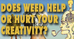 Effects of Marijuana on the Brain May Stoke Creativity