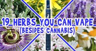 Herbal Vaporizers Benefit from a Wealth of Herbs Beyond Cannabis