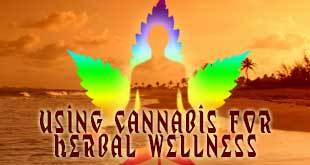 Herbal Wellness Community Embraces Cannabis for a Variety of Reasons