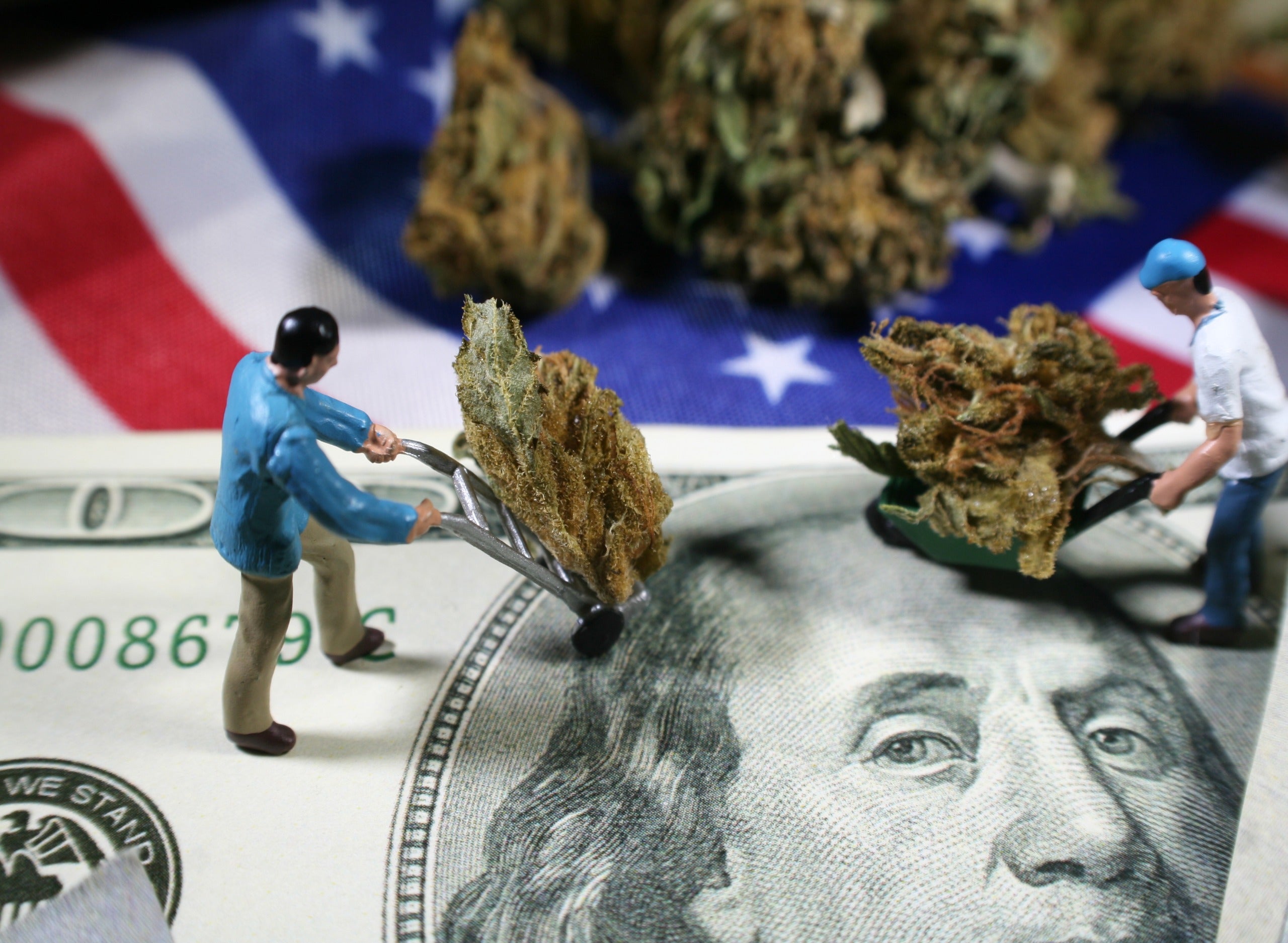 Wholesale Marijuana Prices Rise In Key States But Are Expected To Fall Soon