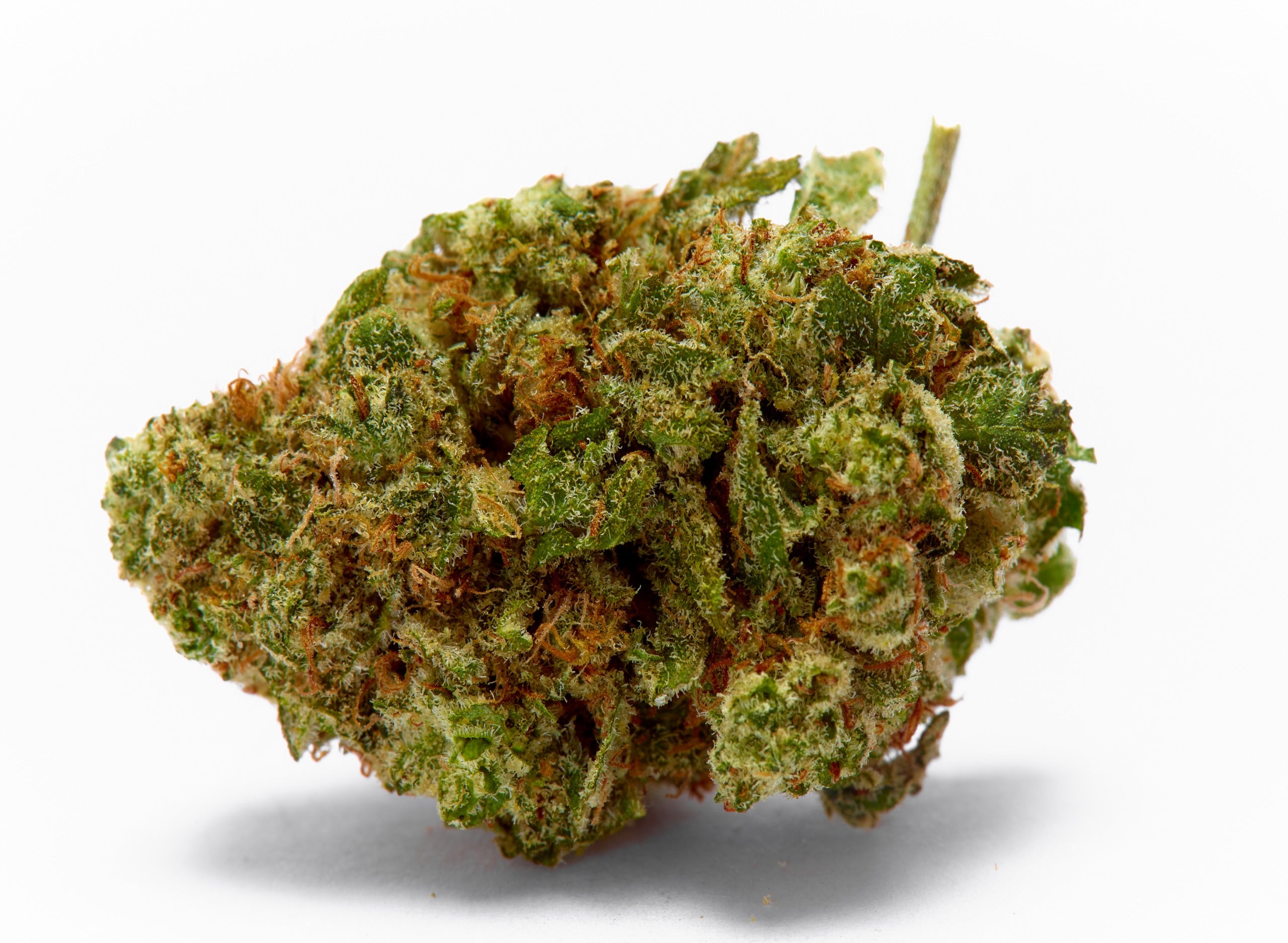 Cannabis Strain Overview: Sour Diesel