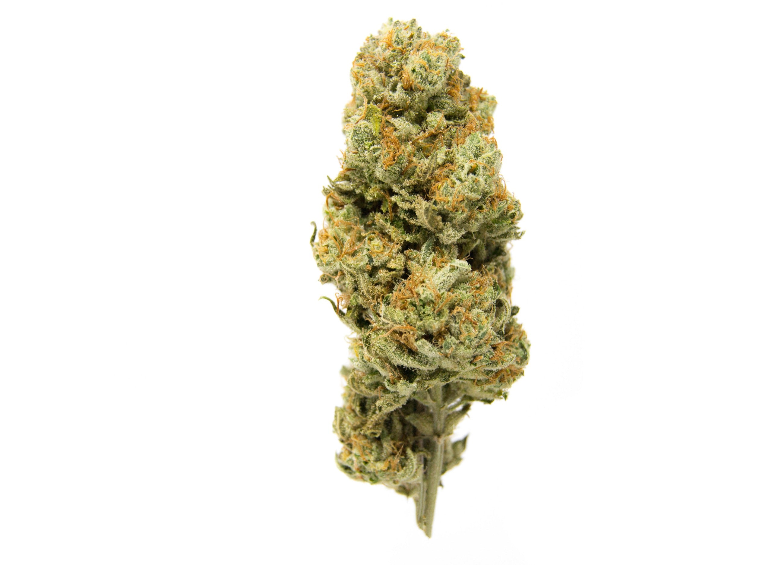 Cannabis Strain Overview: Agent X