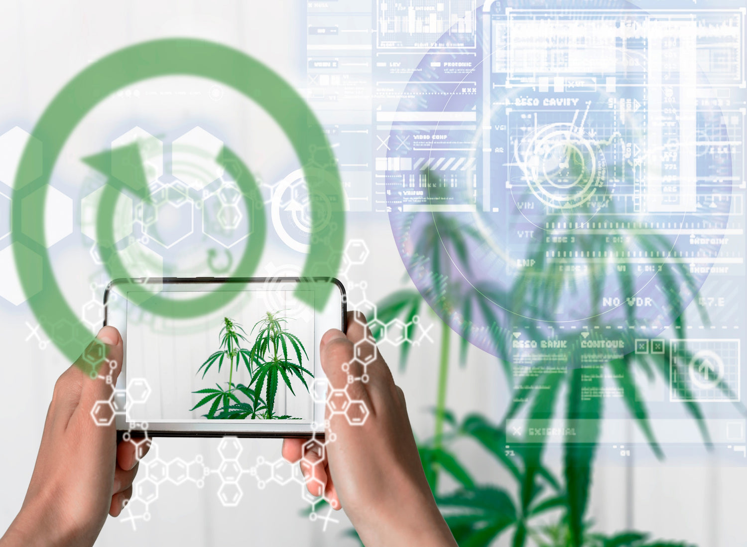 Incorporating Augmented Reality into Cannabis Packaging: Enhancing User Experience