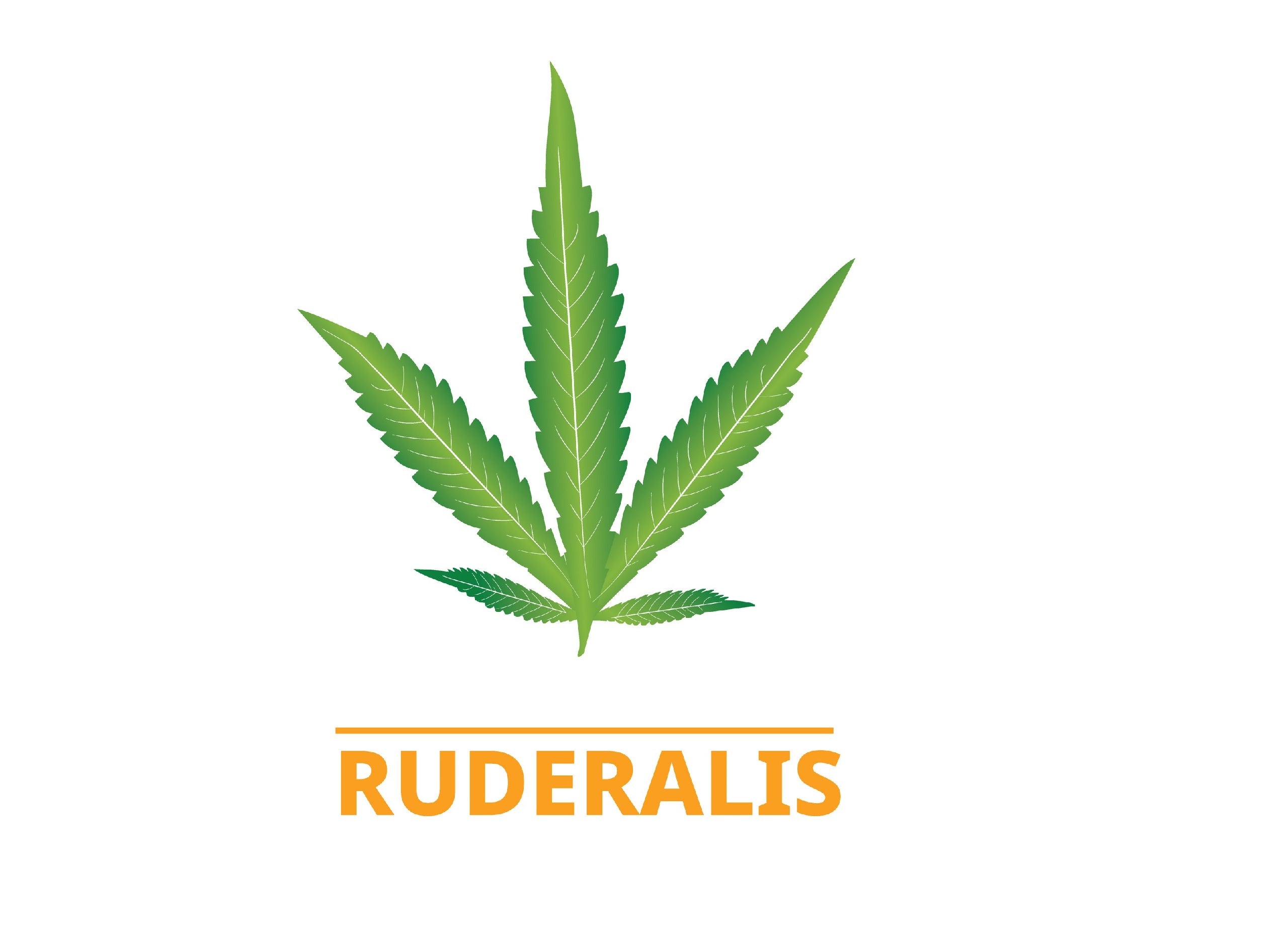 Cannabis Ruderalis: What Is It?