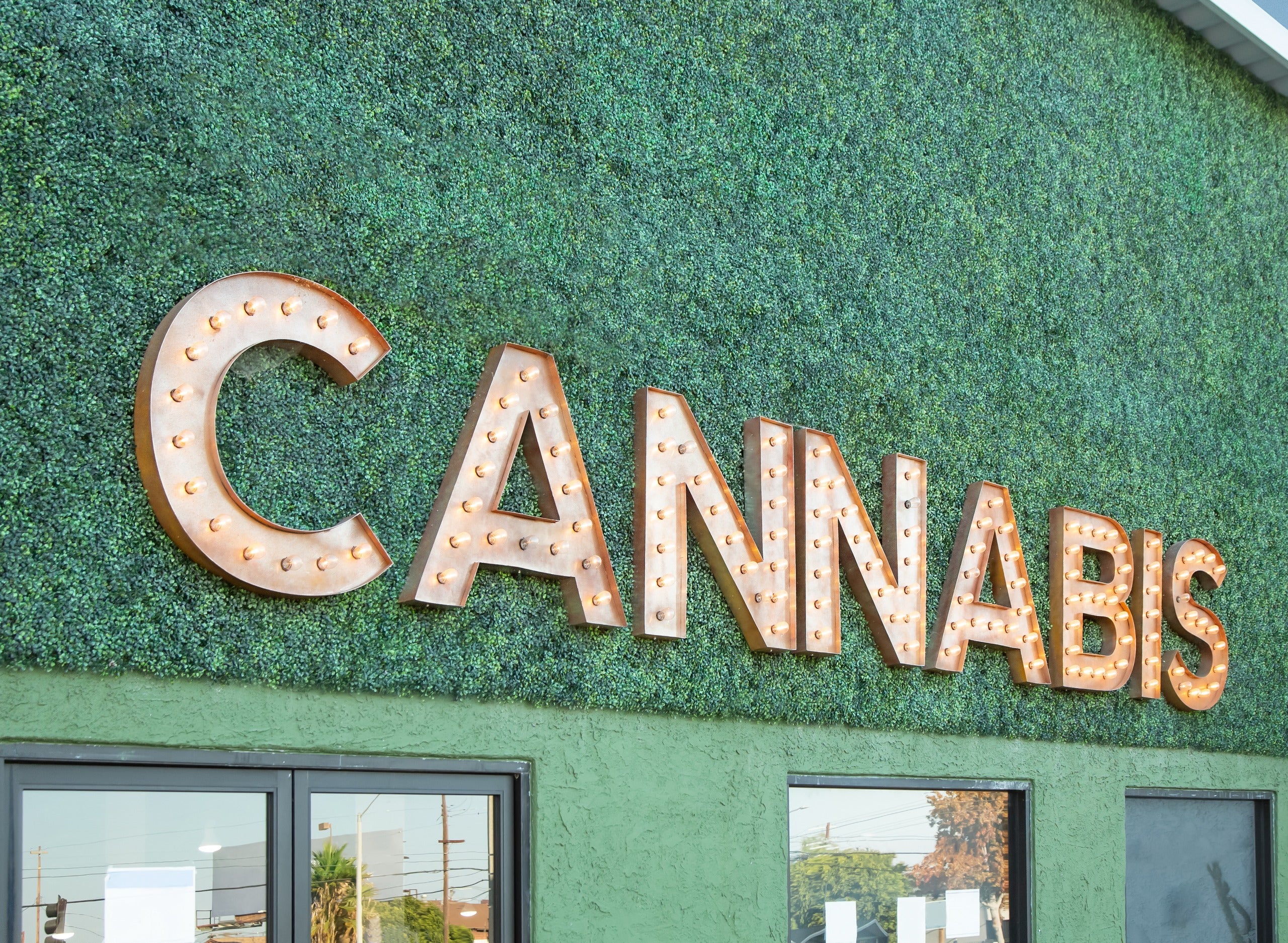 How to Get a Job &amp; Start a Career in the Cannabis Industry