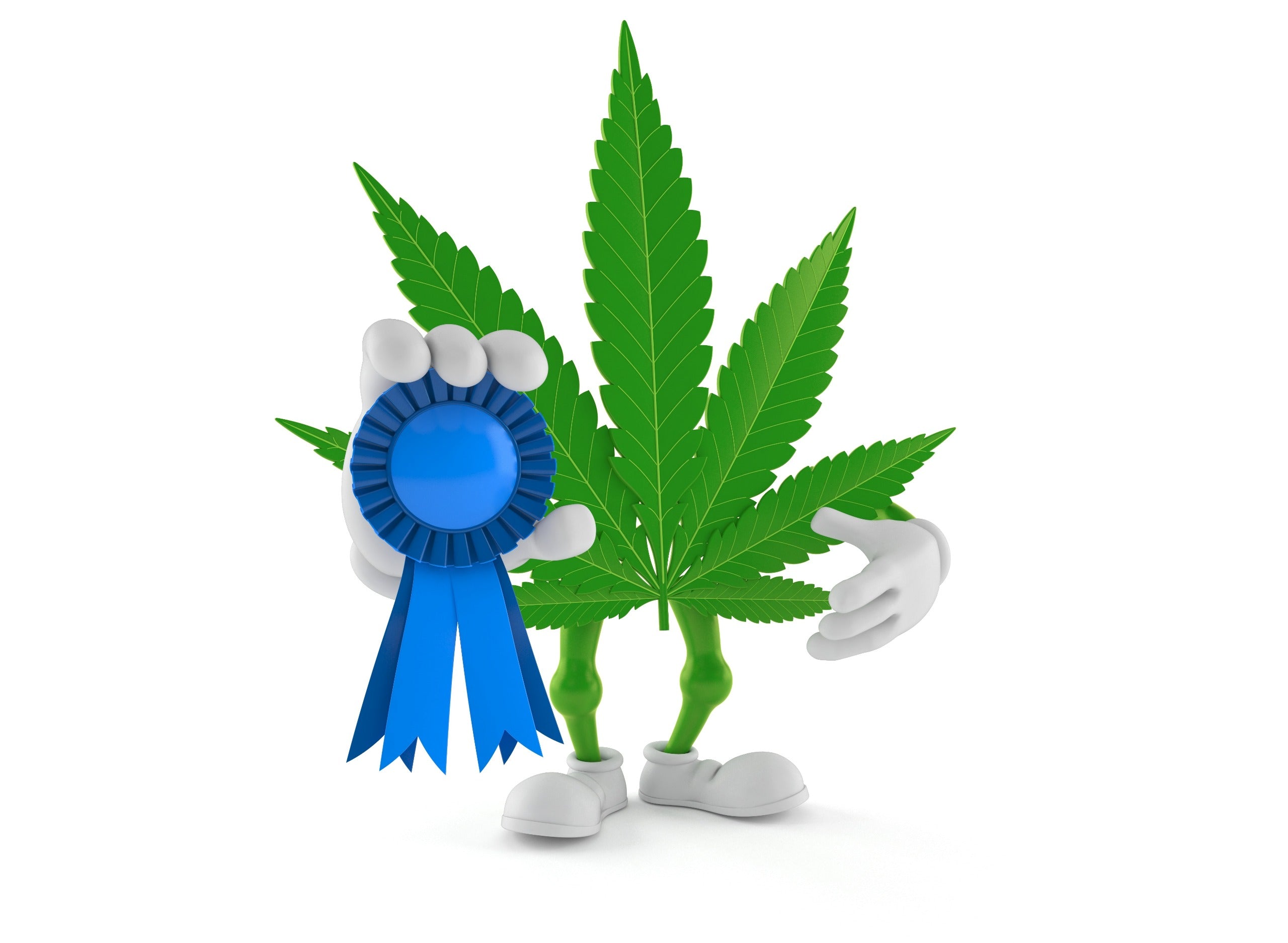 Cannabis Awards: What Competitions Are In the Industry?