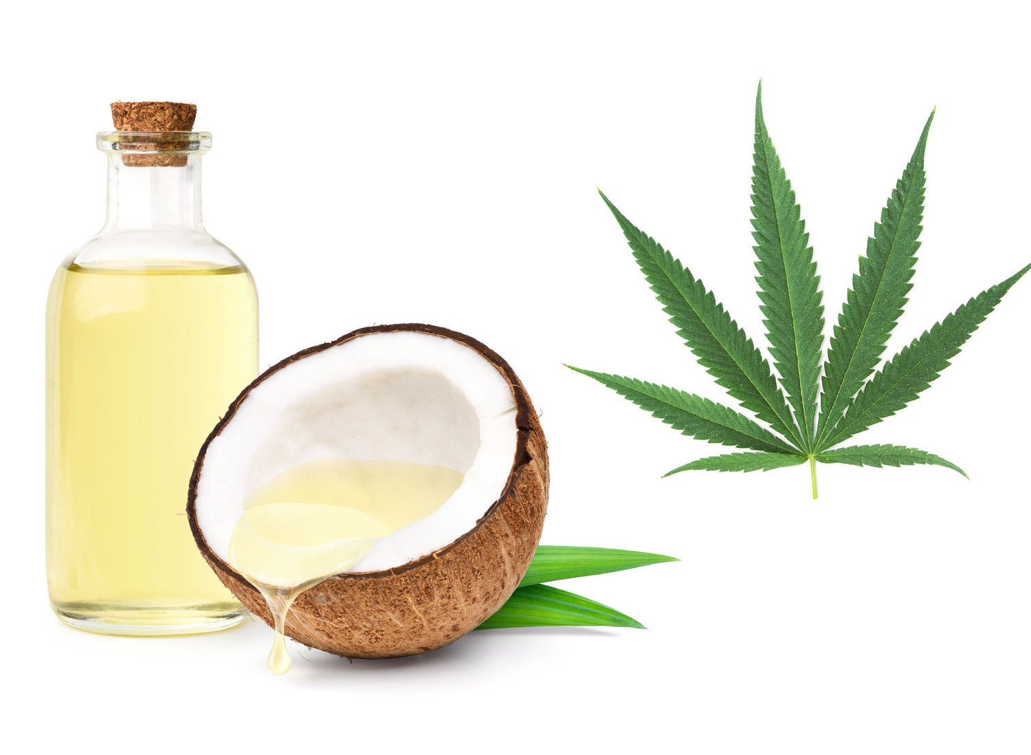 How to Make Cannabis Infused Coconut Oil