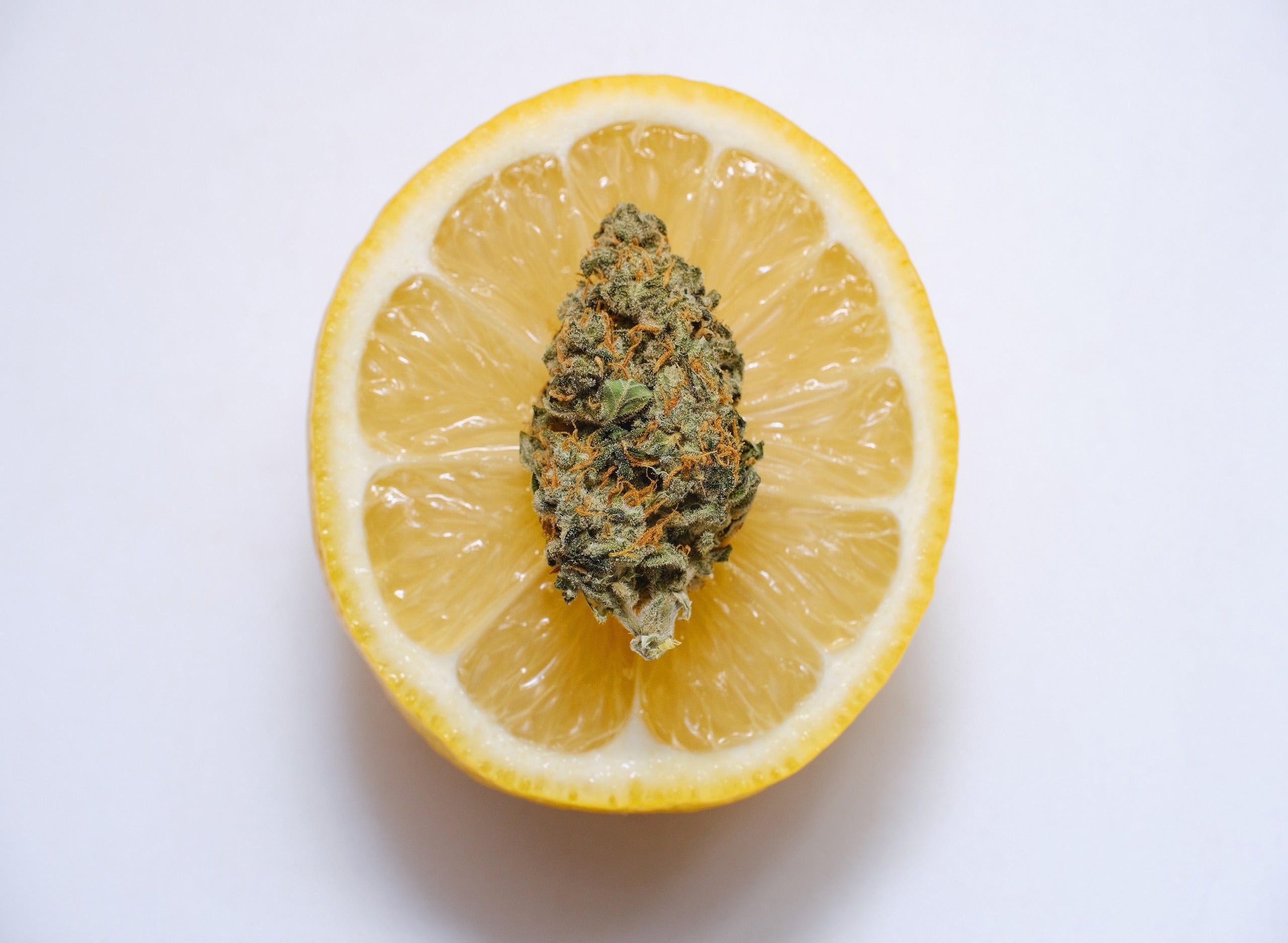 Cannabis Strain Overview: Super Lemon Haze