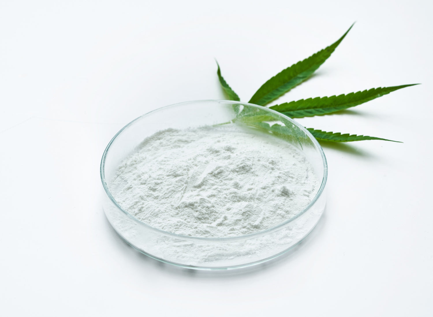 THC Powder: What is Water-Soluble THC?