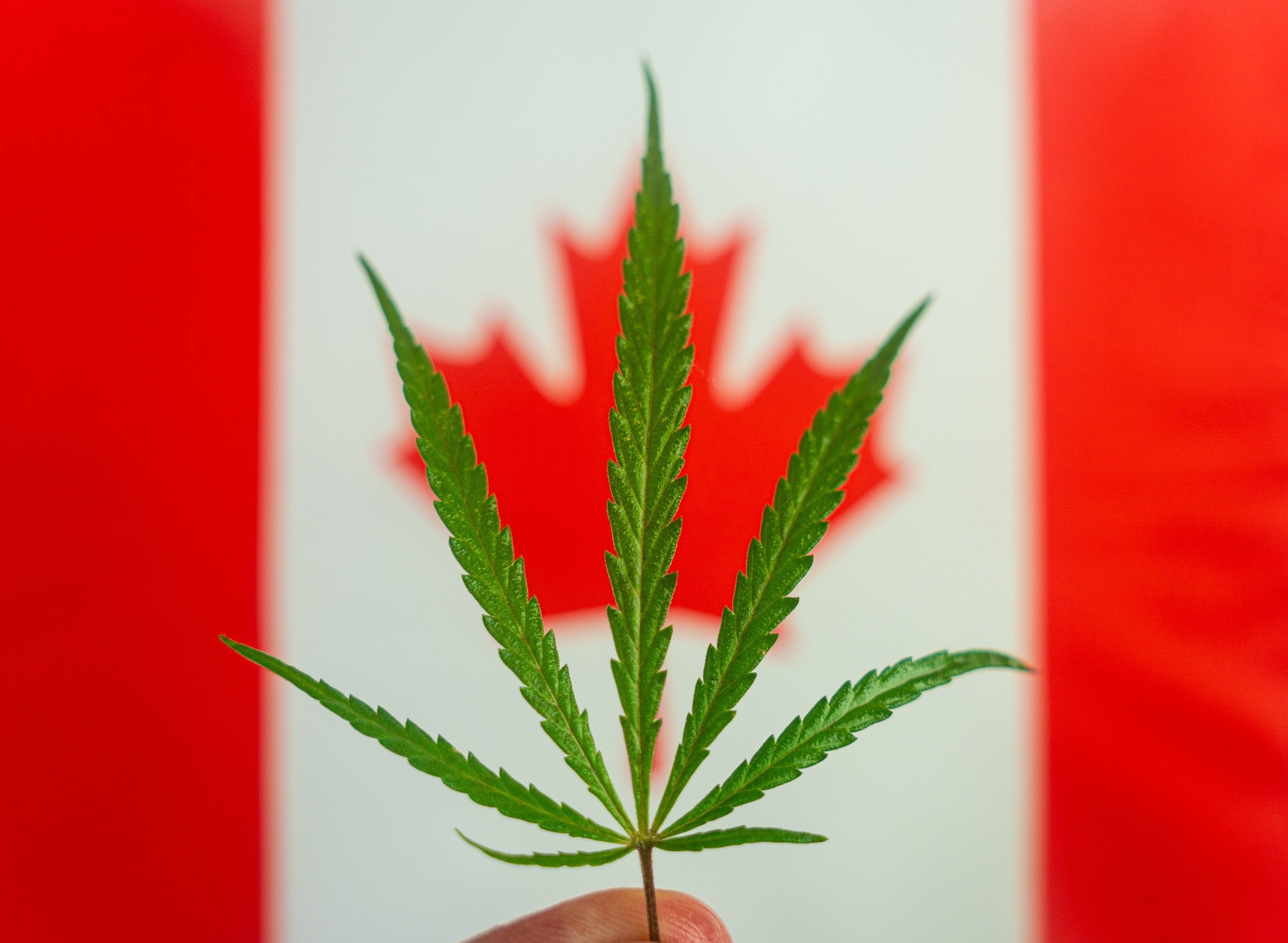 Canadian Cannabis Sector Faces Unprecedented License Withdrawals Amid Market Struggles - Marijuana Packaging