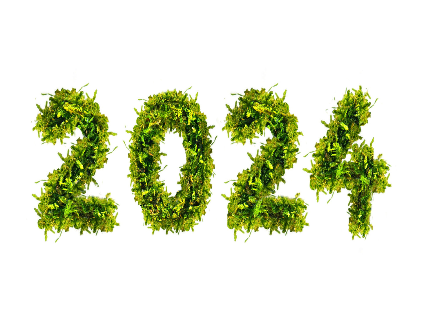 5 Cannabis Policy Reform Initiatives You Can&#8217;t Overlook in 2024