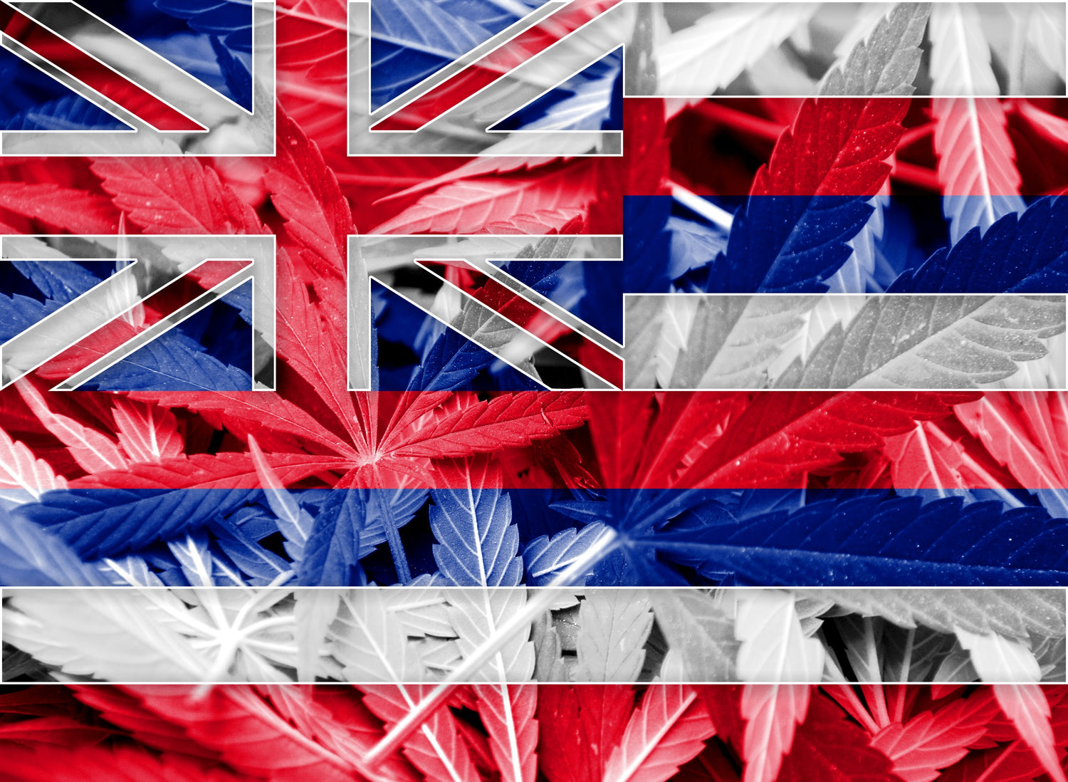 Island Hopping: Hawaii&#8217;s Unique Approach to Cannabis Distribution - Marijuana Packaging