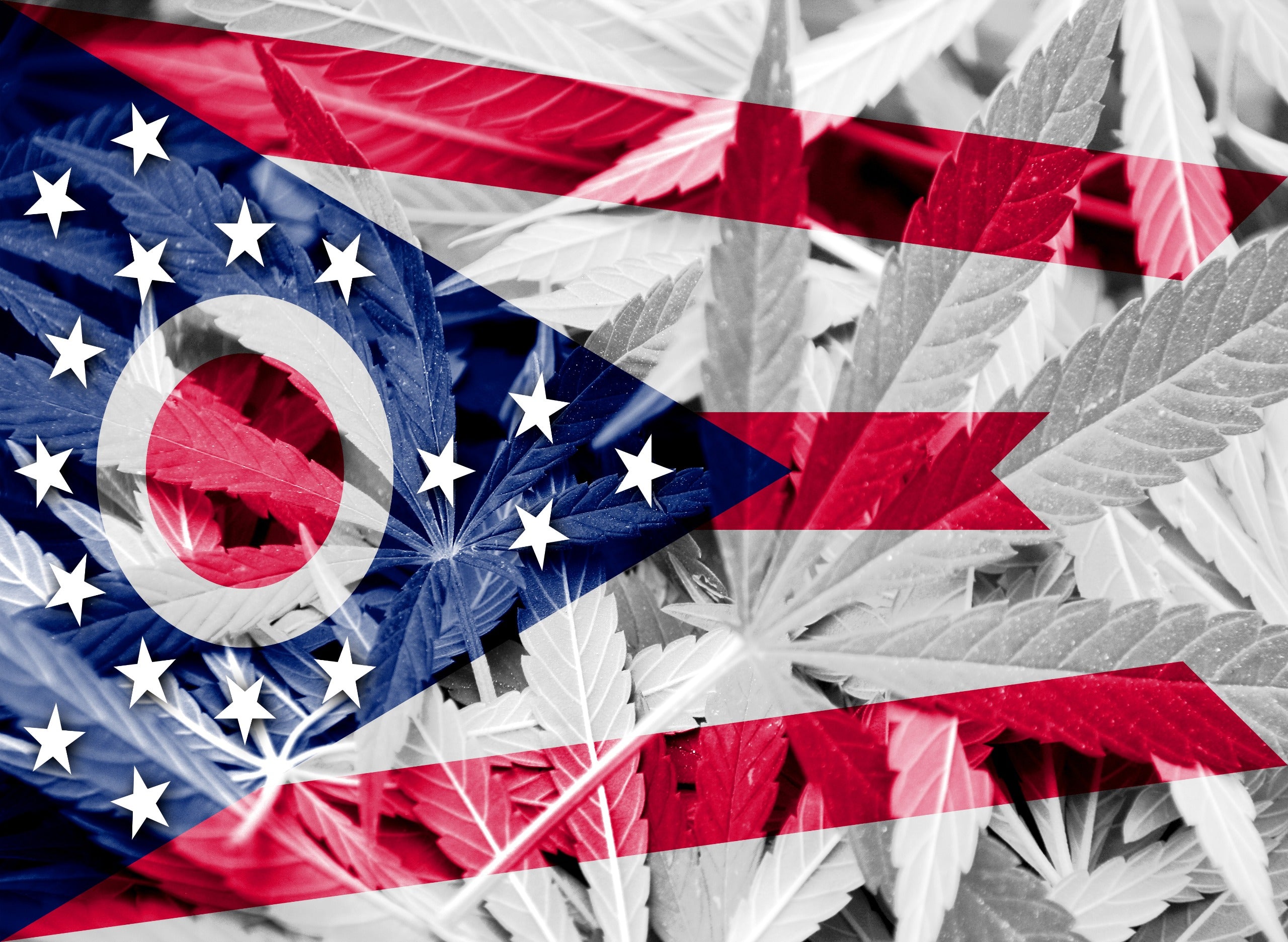 Ohioans Vote to Legalize Recreational Cannabis