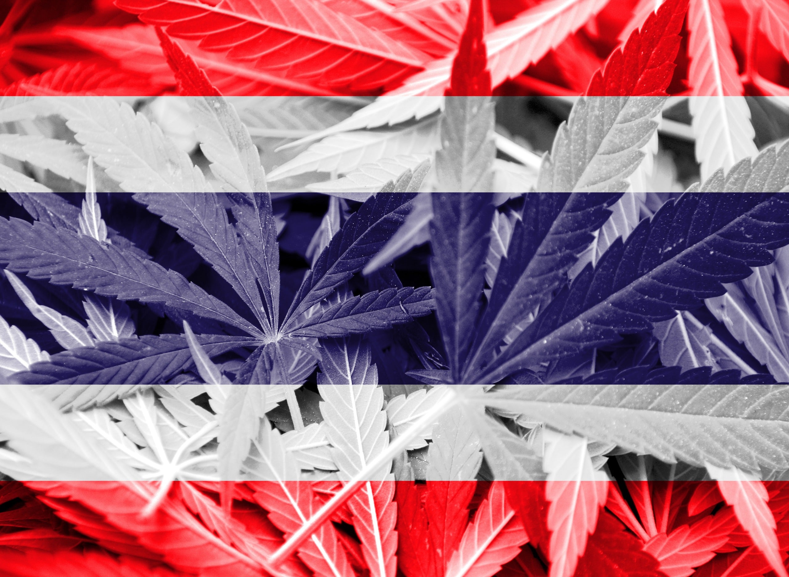 Thailand Set to Limit Cannabis Sales to Medical Use Only