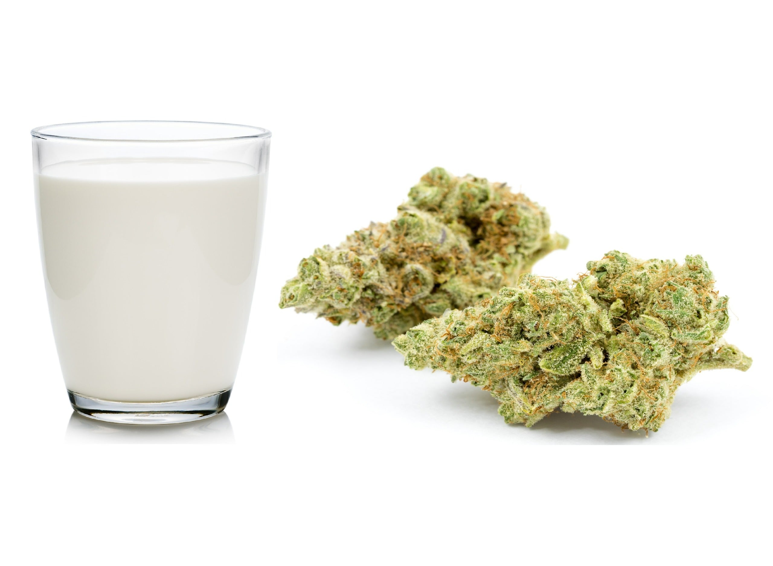 Cannabis Strain Overview: Cereal Milk