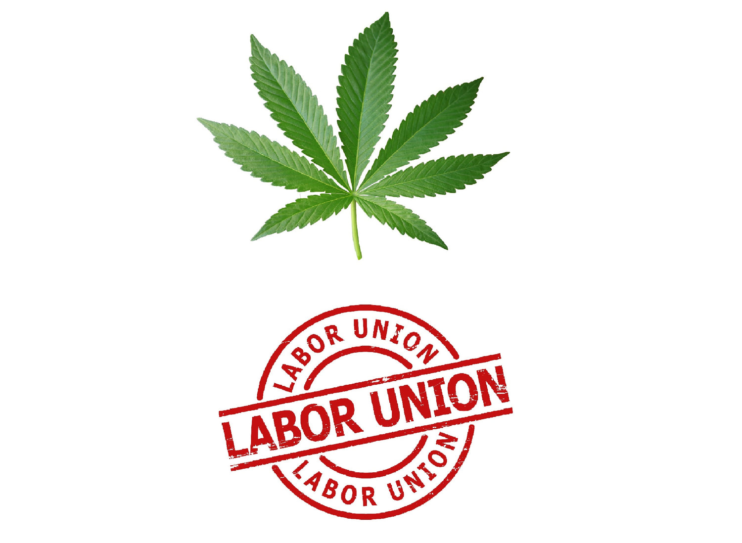 The Role of Labor Unions in Ensuring Sustainable Growth For Cannabis Operators