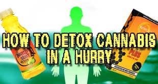 Marijuana Detox Drinks and Other Methods to Pass Your Drug Test