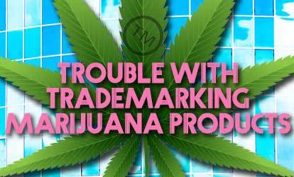 Marijuana Products Face Rigorous Scrutiny in Federal Trademarking