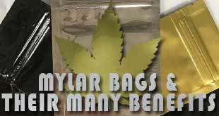 Mylar Bags Elevate Small Marijuana Businesses with Myriad Benefits - Marijuana Packaging