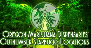 Oregon Marijuana Dispensaries Outnumber Starbucks Locations