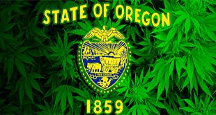 Oregon Marijuana Law: Governor To Allow Early Sales of Recreational Marijuana