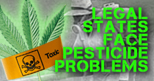States Where Marijuana is Legal Are Confronted with Pesticide Problems