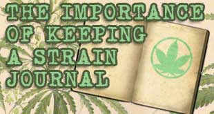 Strain Journal Updates Can Help You Narrow Down Your Perfect Prescription