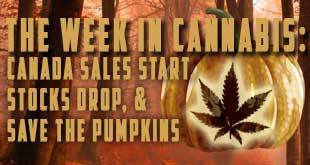 The Week in Cannabis: Canada Sales Start, Stocks Stumble & Save the Pumpkins