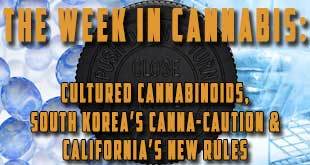 The Week in Cannabis: South Korea’s Cannabis Caution, Cultured Cannabinoids, & California’s New Rules